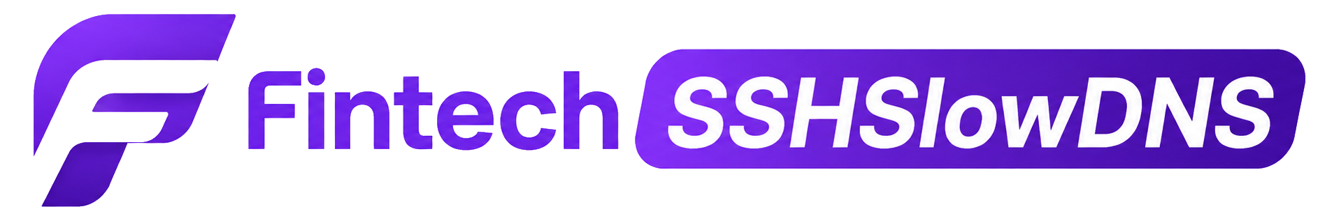 Fintech SSHSlowDNS
